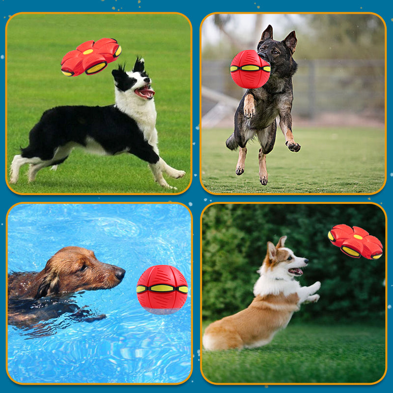 🐾Pet Toy Flying Saucer Ball